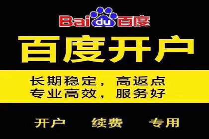 竞价推广的预算分配与优化：案例解读